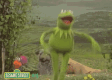 forevermizu:virgoprivilege:virgoprivilege:comedy peaked when jim henson decided that the best way to show a character being blown up or jumping was to just throw the entire muppet around whats better than this I always wonder how many takes they had to