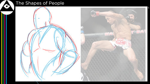 Drawing the Body (It's all in the proportions!)