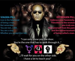 sissy4blackdaddies:  THE CHOICE OF YOUR LIFEI