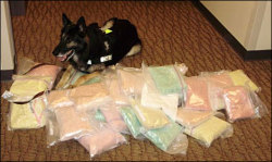 officialcrow:  3dsmallperson:  this little baby is smiling a lot! he did a great job and found around 250,000 tabs of ecstasy!!  fuckin narc 
