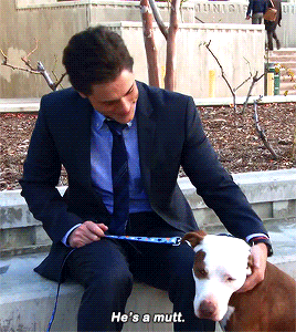 This is LITERALLY the best gifset I have seen today.