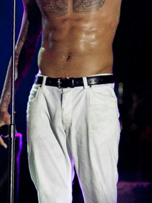 lamarworld:  Chris Brown dick print