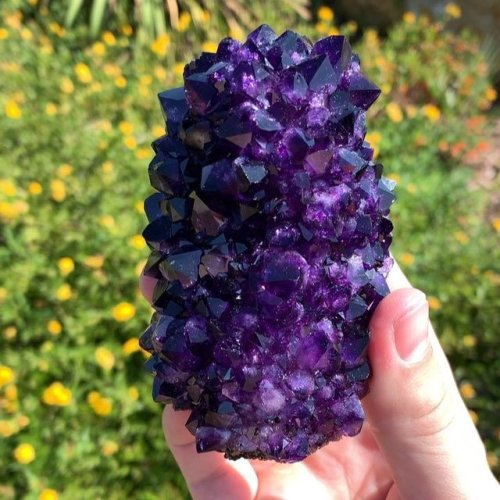 geologyin-blog: Amazing Amethyst stalactite from Artigas, Uruguay. Photo: Donald K. Olson Minerals