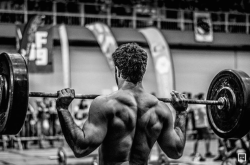 stayhungry-stayfree:  barbells-and-fortitude:  Instagram: @boxinsideme   Back muscles😍