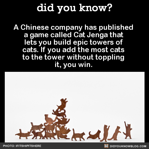 did-you-kno:Not quite ‘Jenga,’ but very ‘cat.’Not be confused with cats playing Jenga.Source