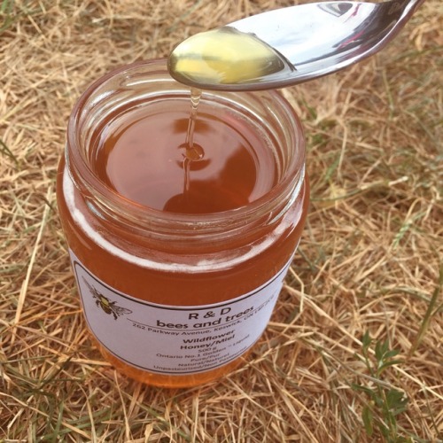 c0ttage: locally sourced honey 