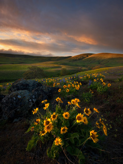 unwrittennature:   Dalles Mountain Majesty