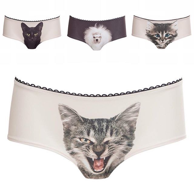 kissmedeadlier:  The power of pussy…cat pants. (Plus poodles.) Are you Looking