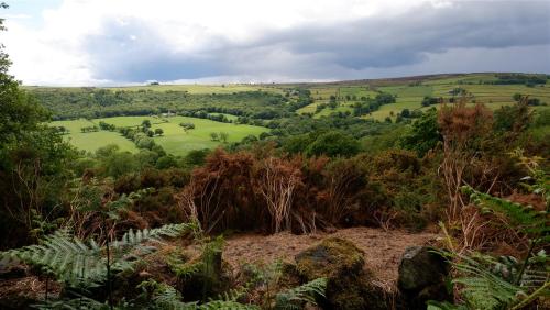 The Visitors - Set 1.Socially isolating in Nidderdale, North Yorkshire (exercising of course), amaze