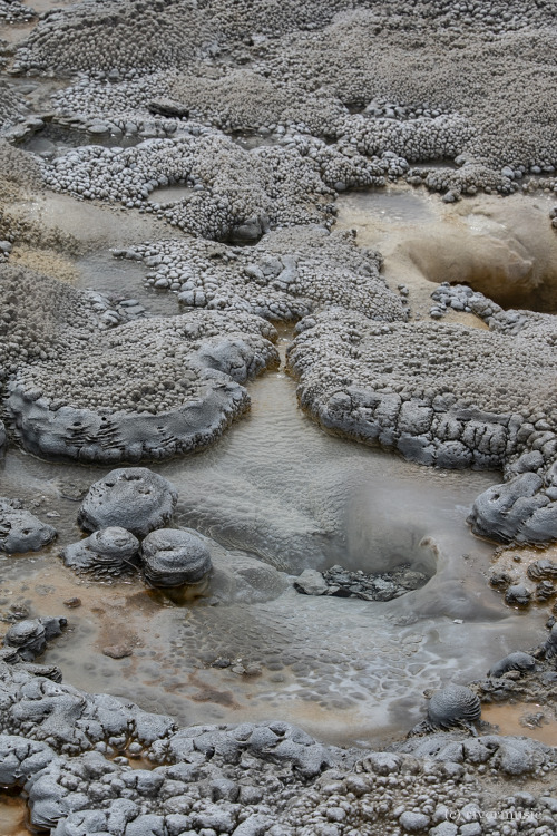 Hot Springs Mineral Deposits, Upper Geyser Basin, Yellowstone National Park: &copy; riverwindphotogr