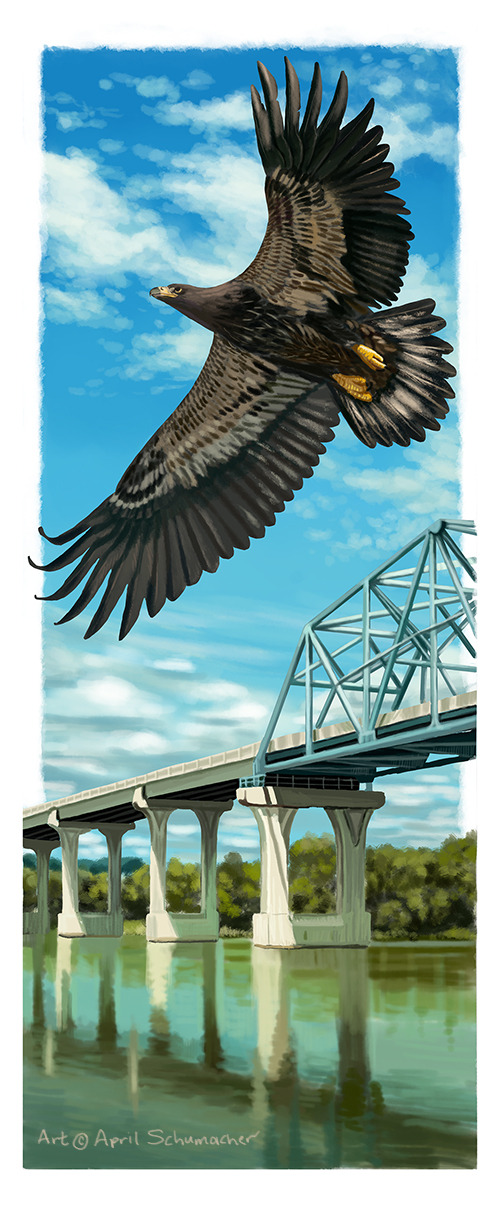 pallanophblargh:  Kapow! Third color study done.Am I learning yet? (I’m an old