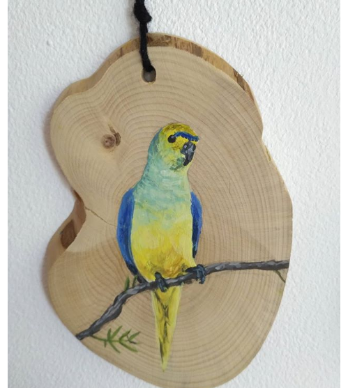 a galah and blue-winged parrot on tasmanian huon pine. This ornament (?) is just hanging in my close