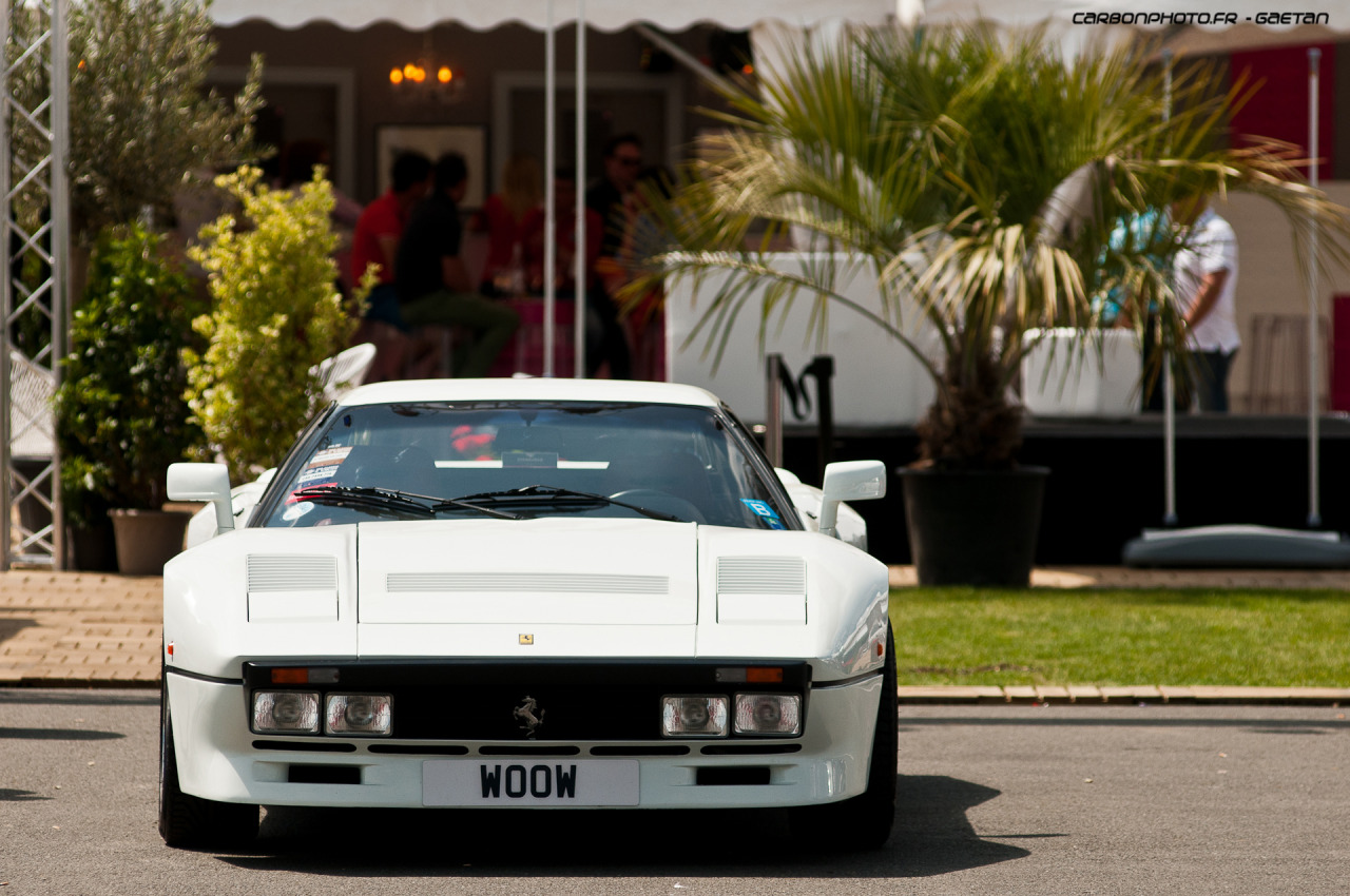 carbonphoto:  Such White, Much WooW, Very GTO Website || Facebook || Tumblr
