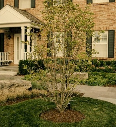 Natural Stone Pavers Front Yard TorontoAn Example Of A Mid-sized Traditional Full Sun Front Yard Stone