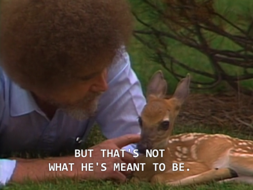 blueboyluca: Bob Ross gets it.