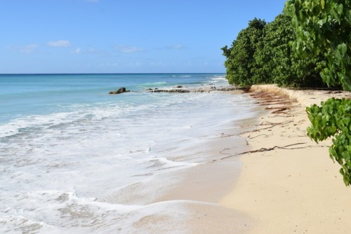 isla-bohemia: Paradise found. St.Croix USVI