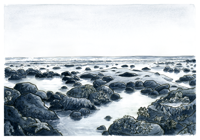 A blue-tinted watercolor painting of a seascape at low tide, lots of dark rocks and reflective pools. There's a line of delicate breakers in the distance.