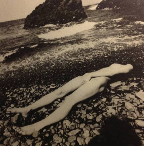 quirinus-iz-zaras-realm:  Shunji Dodo 