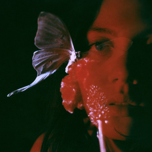 officialneilkrug: with Kaiman Kazazian (Shot entirely in-camera)Photography by Neil Krug