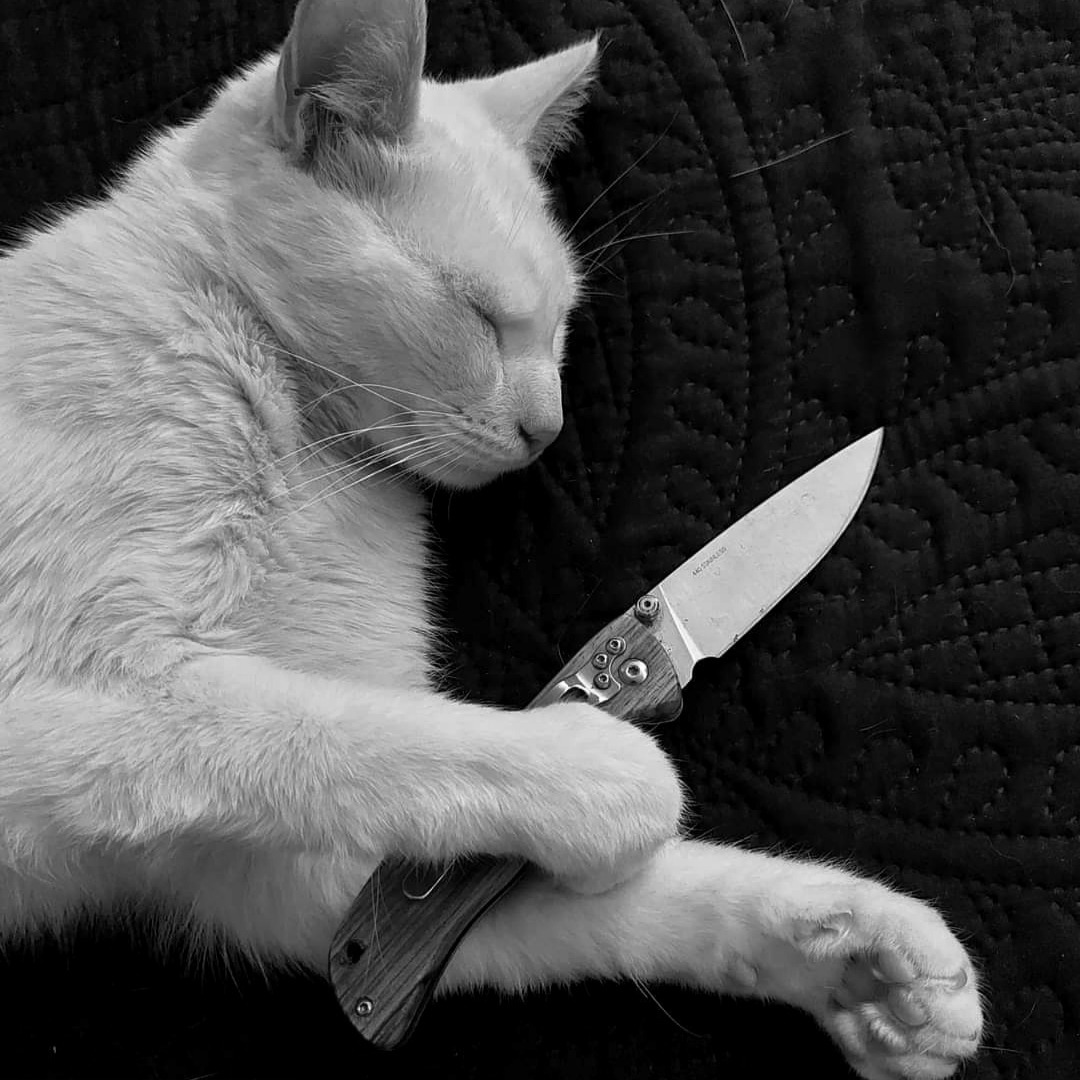 Catgirlslutticus On Tumblr Catgirlslutticus On Tumblr