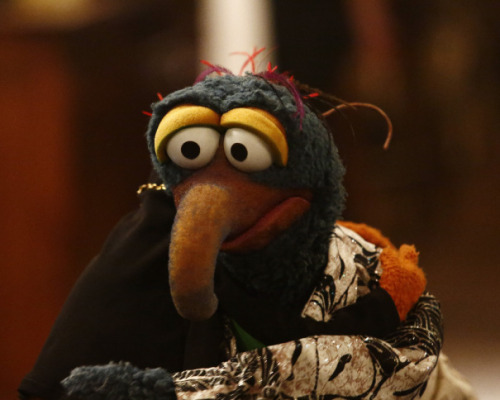 Sad News: “The Muppets” will not be returning for a 2nd season.muppetmindse