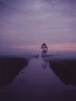 delacroi:  November sunrise - long long time ago by Lexitos &lt;….&gt; on Flickr. 