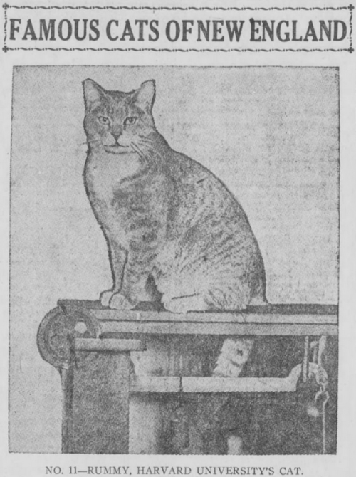 yesterdaysprint: Boston Post, Massachusetts, December 18, 1920 