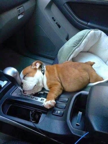 menpale:  Baby drive