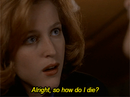 badbloodallthewaymotherf-kers:How fitting.
