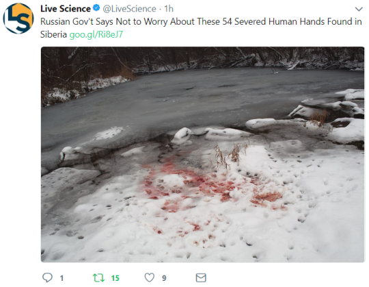 verycooltrash:  mascpembtabteemitatechar:   verycooltrash:  retroactivebakeries:  verycooltrash:  #aparrently a forensics lab disposed a bag of hands improperly which like. how. how do you do that  don’t worry about it   Flirt with Martha аnd gеt