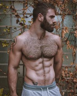 griffinbarrowsx:  tantalizing-torsos:Tantalizing Torsos!  (many with VPL) &amp; Over 80,000 images! Thanks to over 16,000 followers! Oh my god, I wish I grew chest hair like this stud god 🖤🤤