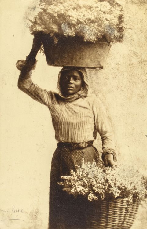 fragrantblossoms:   Minna Keene.   South African Flower Seller, 1903–1913.     