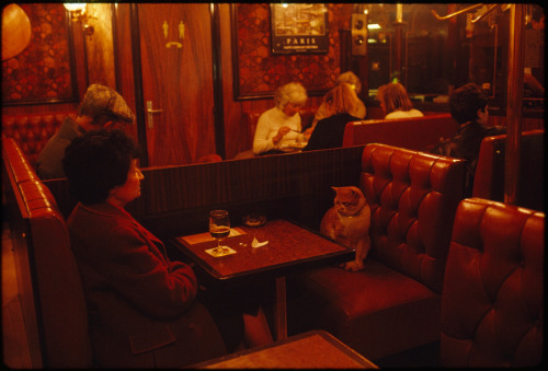 A regular at Le Louis IX in Paris, “Caramel” keeps a client company, May 1988.Photograph