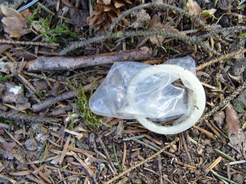 throwncondom:  Autoroute Liège-Namur, parking près de Fernelmont, avril 2015. Un merveilleux endroit pour le chasseur de capotes, non?*****Liège-Namur highway, parking near Fernelmont, April 2015. A wonderful place for condoms hunter, right?