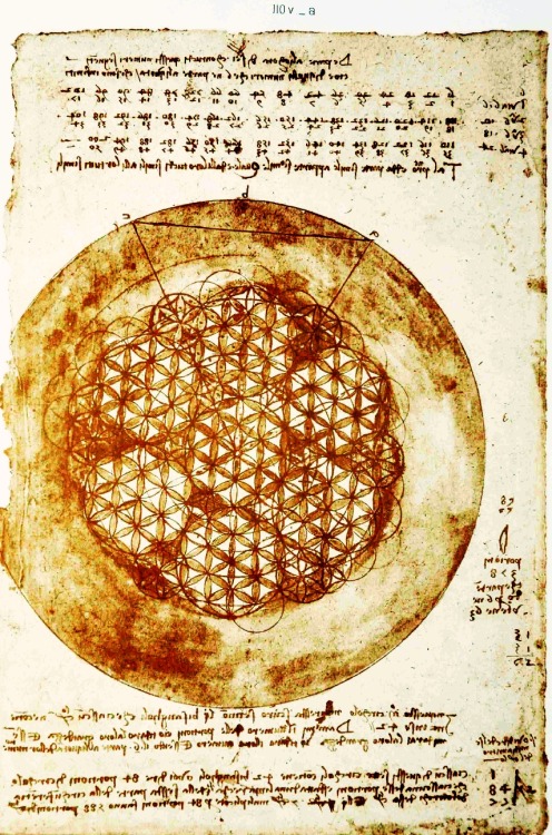 sashastergiou:  Leonardo Da Vinci - ‘flower of life’ 