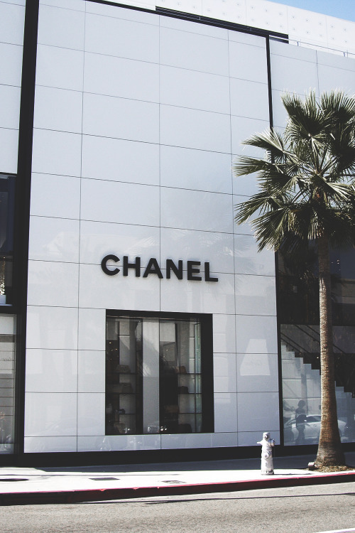 Luxury Buzz