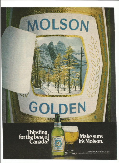 1981 Molson Golden Beer Advertisement 