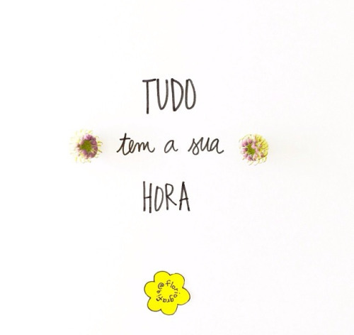 🇧🇷