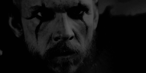 Daily Vikings