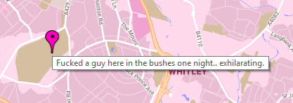johnnycashthighhighboots:  gayreinhardt:   im gonna scream this is a park near my house   reading this w the exact same intonation as “found a snail… effervecent” 