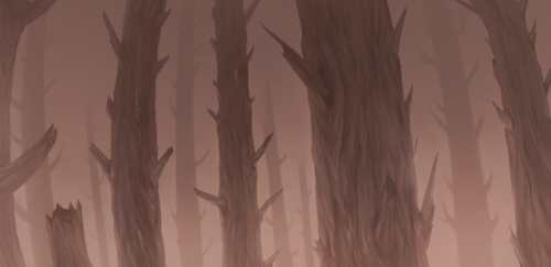 A peaceful walk through the field and the forest&hellip;&hellip;.