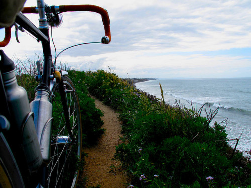 manofextremeleisure: beach trail on Flickr.