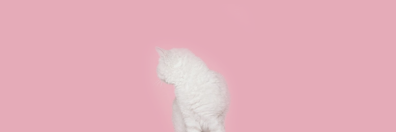 Featured image of post View 10 Pastel Pink Baby Pink Twitter Header