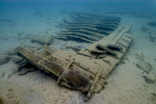 lobotomyp0p:  Images courtesy of Thunder Bay 2010 Expedition, NOAA-OER. Shipwrecks in the Great Lakes The names of the vessels have been provided in the captions. All images (and more!!) available at the source.