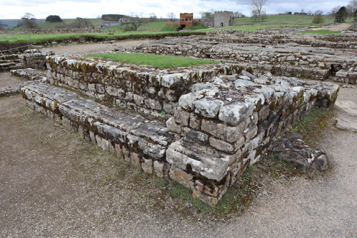 thesilicontribesman: The Headquarters Building, Vindolanda Roman Fort, Northumberland, 29.4.18. The 