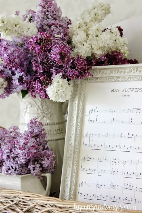 lady-basil:May Flower ~ Lilac My absolute favorite flower.
