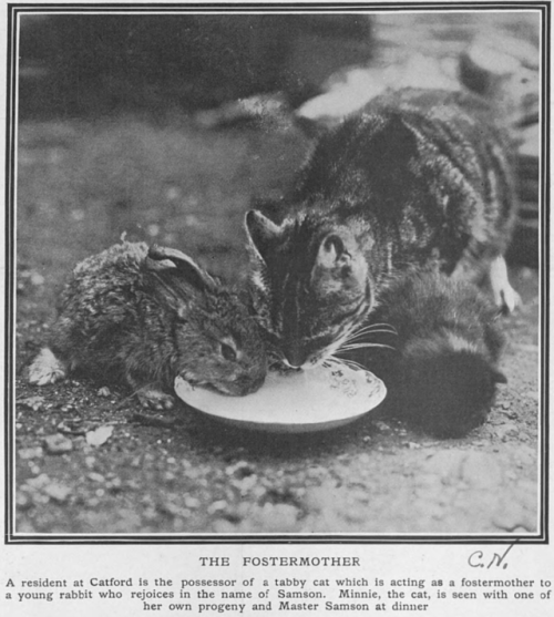 The Tatler, England, March 6, 1912