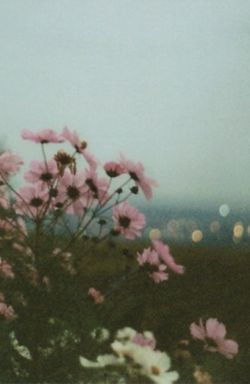 Living On Borrowed Time