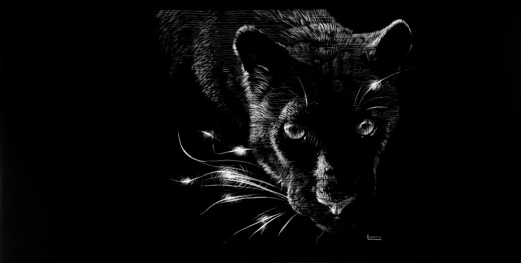baetology:  black moods // @alitmaleeq 