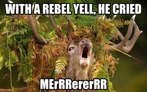 rebel yell